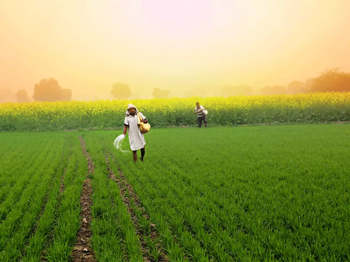 Health Benefits of Participating in Different Farming Activities